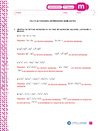Expresiones semejantes (Pauta)