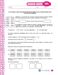 Caracterizar expresiones semejantes y reconocerlas en contextos diversos