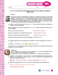 Establecer estrategias para reducir términos semejantes (Pauta)
