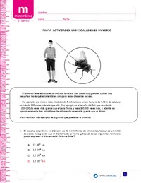 Las escalas en el universo (Pauta)