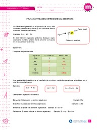 Expresiones algebraicas (Pauta)