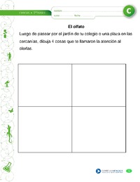 El olfato