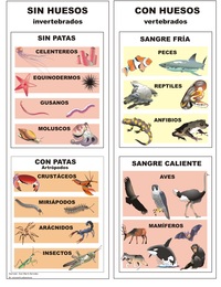 Clasificación de animales