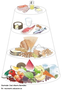 Tipos de alimentos