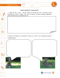 Signos ortográficos en "Los dos conejos"