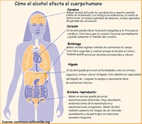 Imagen con información sobre el efecto del alcohol en el cuerpo humano