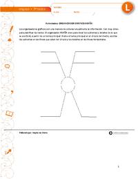 Organizador gráfico araña