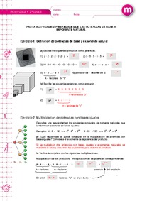 Propiedades de las potencias de base y exponente natural (Pauta)