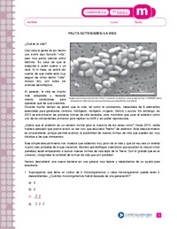 La vida (Pauta)