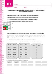 Comprender el significado de la raíz cuadrada de un número positivo