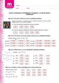 Estimar y determinar el valor de raíces cuadradas (Pauta)