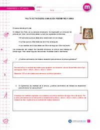 Variación perímetro y área (Pauta)