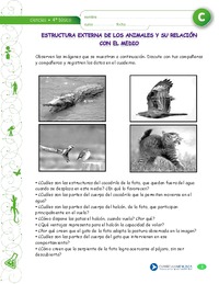 Estructura corporal de animales relacionados con su medio