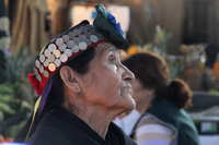 Tesoro humano vivo