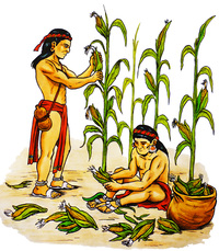 Agricultura maya