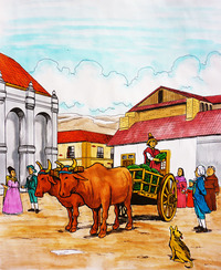 Vida cotidiana en La Colonia