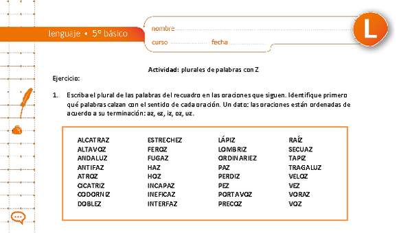 Plurales de palabras con Z