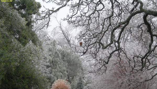 Paisaje de invierno 3
