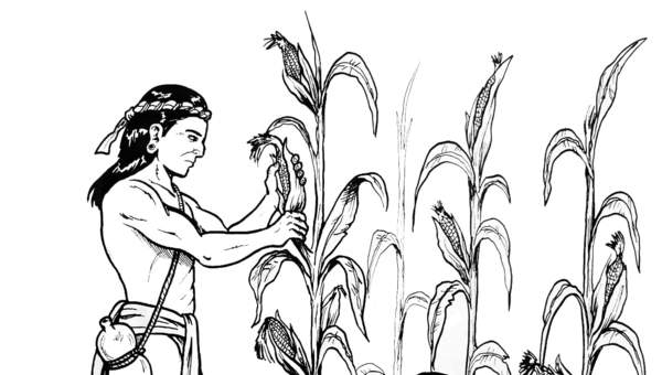 Agricultura maya
