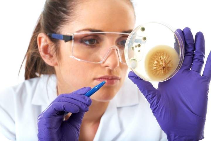 Microscopio