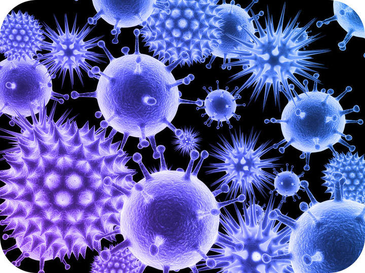 Virus Virus