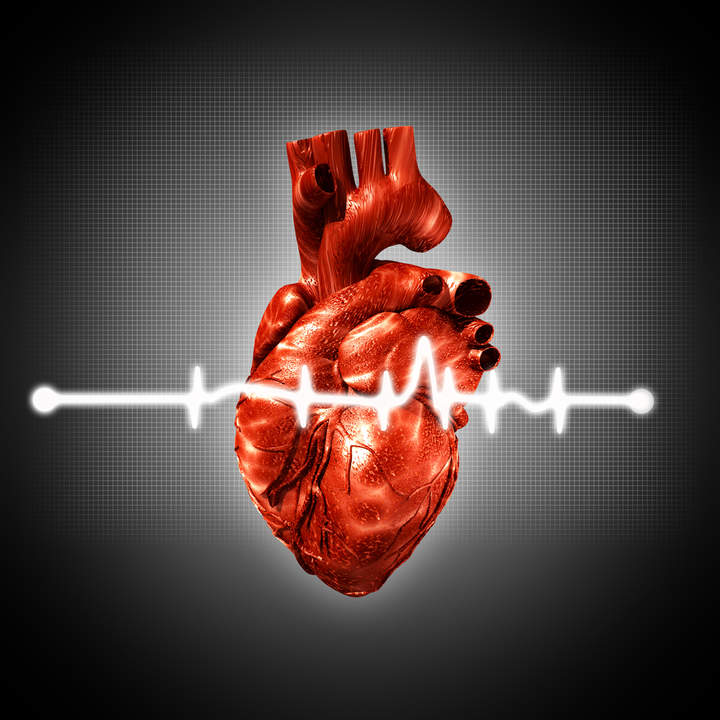 Sanando un corazón roto Sanando un corazón roto