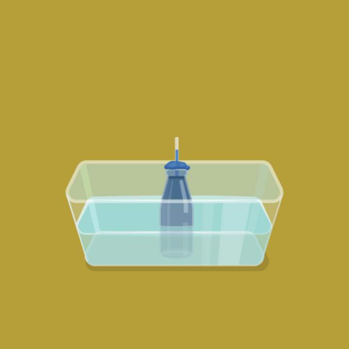 Termómetro de agua Termómetro de agua