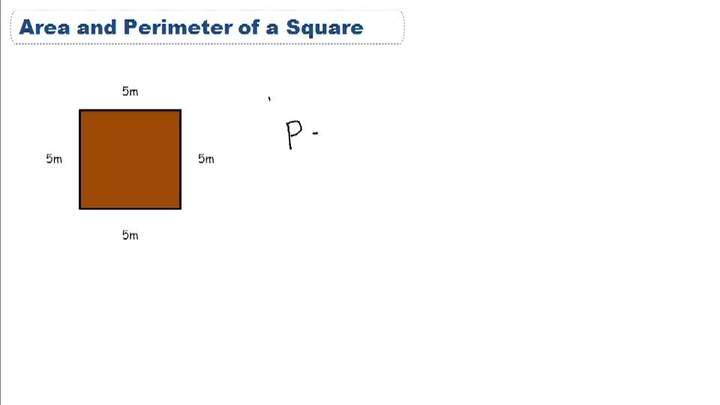 Área y perímetro de la plaza: descripción general Área y perímetro de la plaza: descripción general