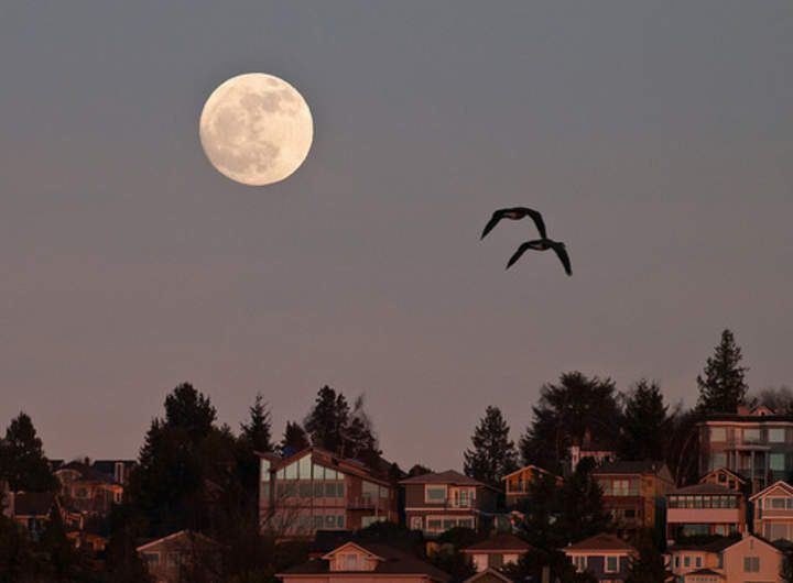 La ilusión de la luna La ilusión de la luna