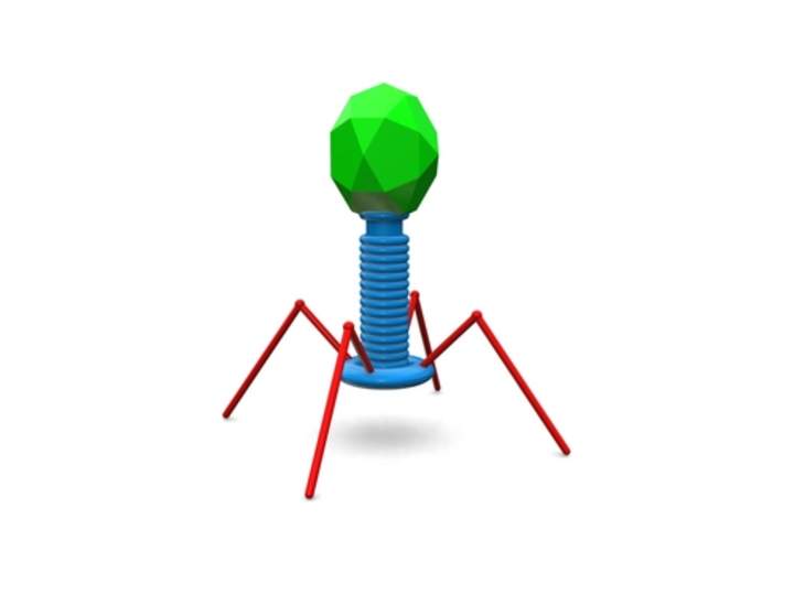 Virus - Avanzado Virus - Avanzado