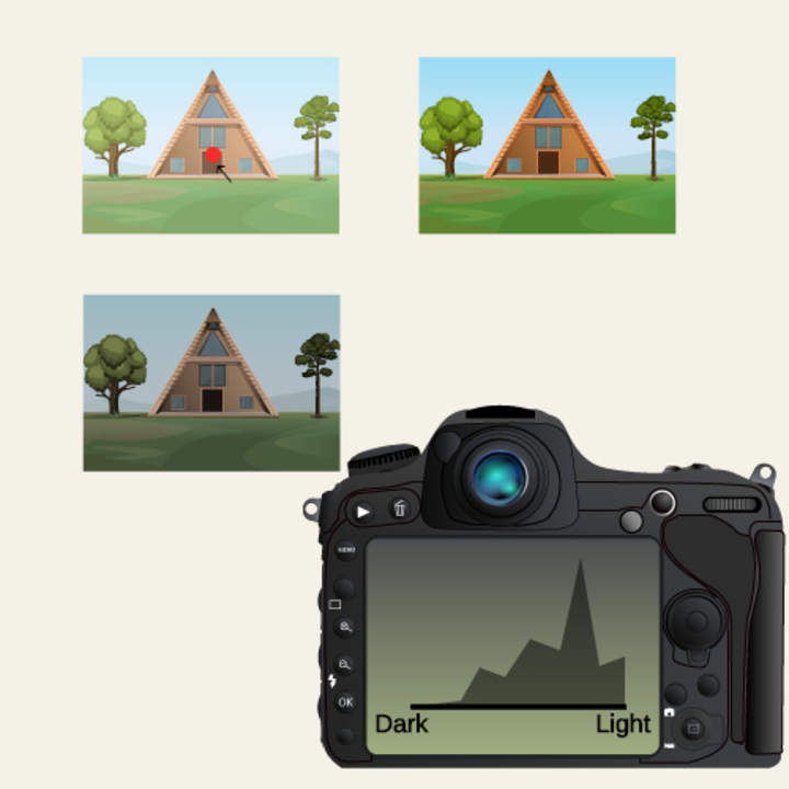 Gráficos e histogramas de tallo y hojas: fotografía digital Gráficos e histogramas de tallo y hojas: fotografía digital