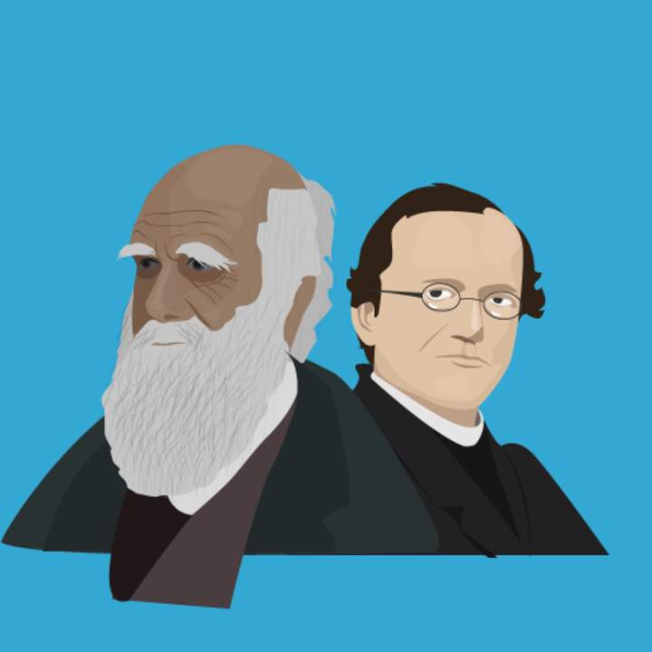 Genética de poblaciones: cuando Darwin conoció a Mendel Genética de poblaciones: cuando Darwin conoció a Mendel