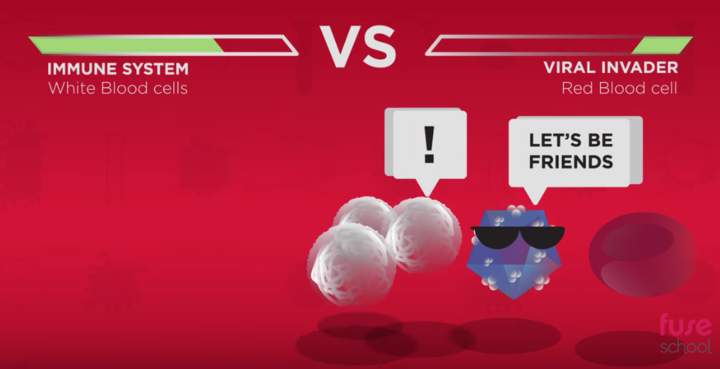 ¿Qué son los virus? ¿Qué son los virus?