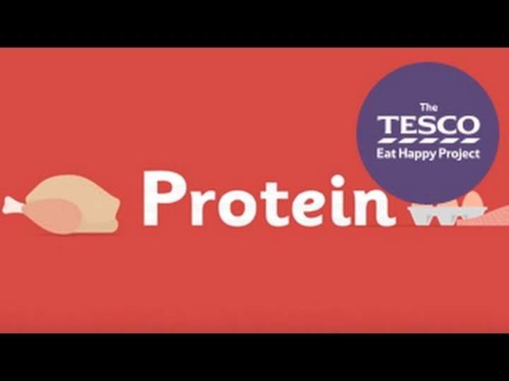 ¿Por qué nuestros cuerpos necesitan proteínas?