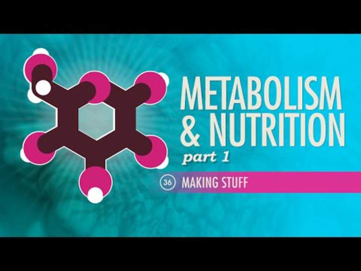 Metabolismo y Nutrición, parte 1: Curso intensivo