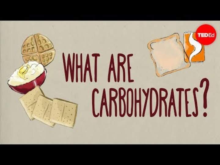 ¿Cómo afectan los carbohidratos a tu salud?
