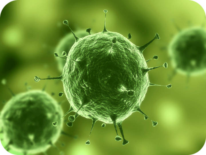 Origen del virus