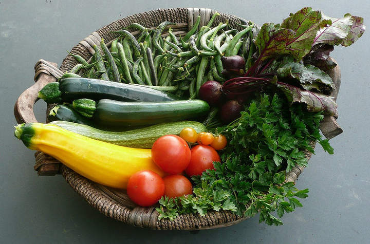 Alimentos y nutrientes Alimentos y nutrientes
