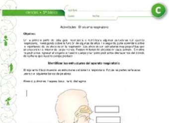 El sistema respiratorio