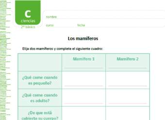 Los mamíferos